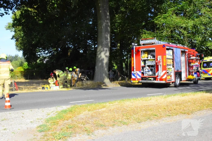 Auto knalt op boom
