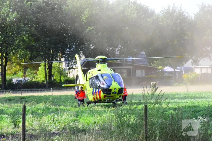 Auto knalt op boom