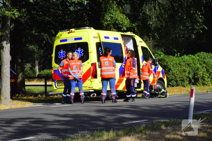 Auto knalt op boom