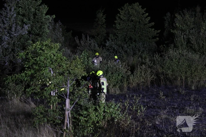 Flink stuk riet verbrand