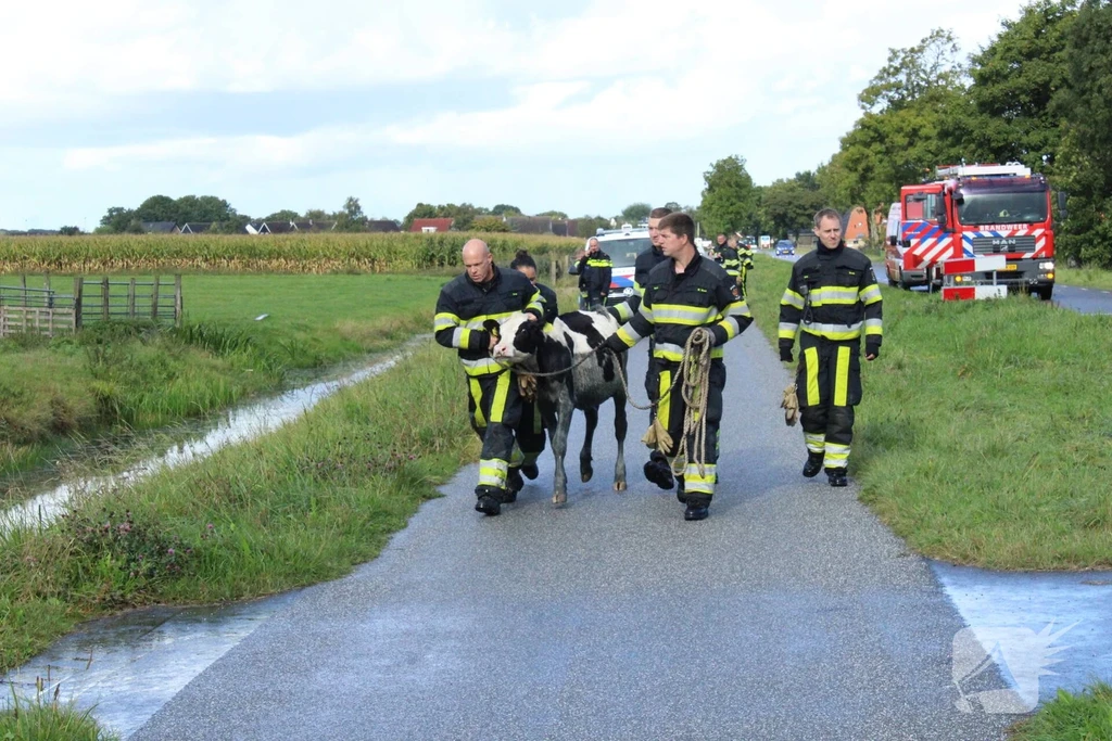 Ingenawei Nieuws Nijland 