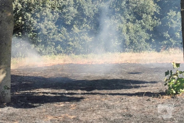 Flink stuk groen vanwege brand verwoest