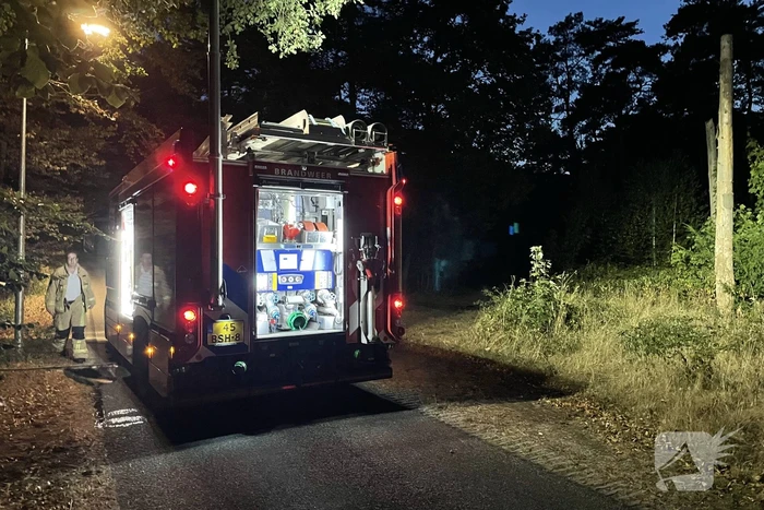 Brandweer blust kleine brand in bos