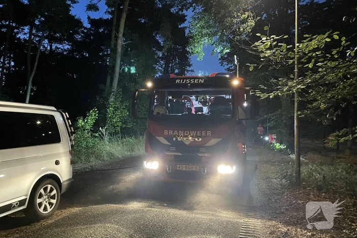 Brandweer blust kleine brand in bos