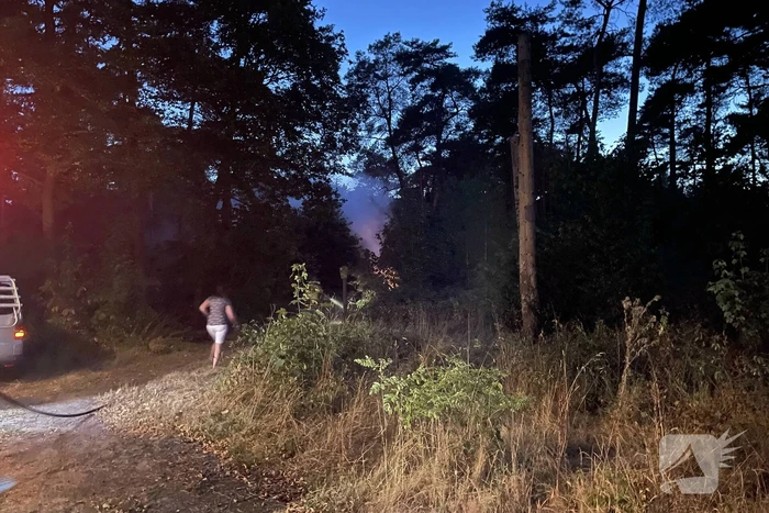 Brandweer blust kleine brand in bos