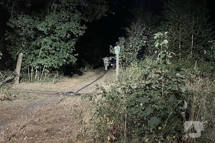 Brandweer blust kleine brand in bos