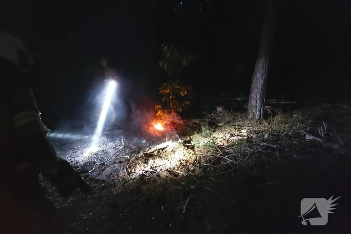 Brandweer blust kleine brand in bos