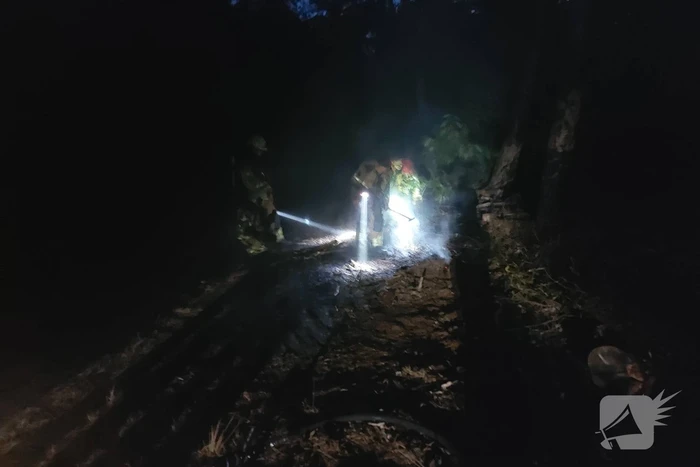 Brandweer blust kleine brand in bos