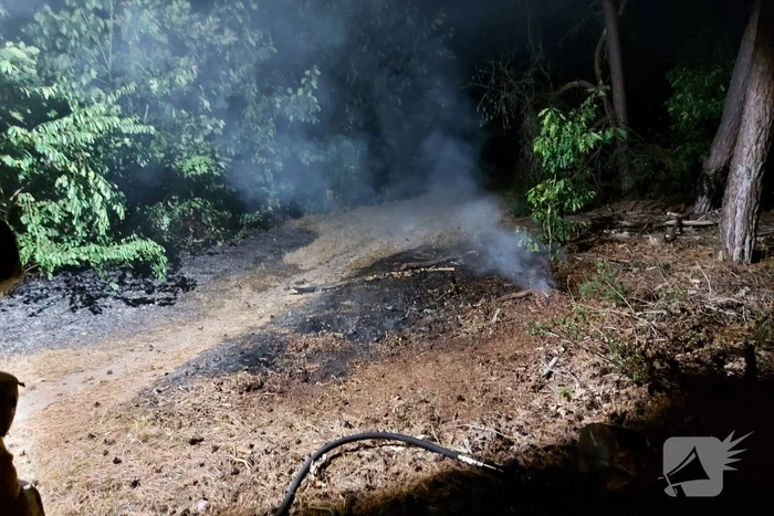 Brandweer blust kleine brand in bos