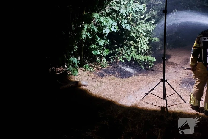Brandweer blust kleine brand in bos
