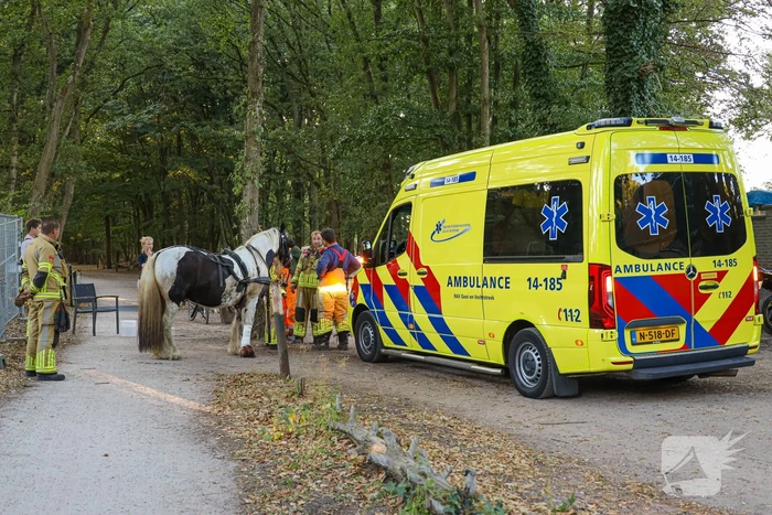 Ruiter gewond na op hol geslagen paard