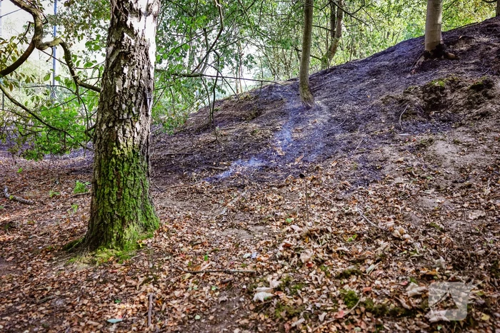 Flinke brand naast rangeerterrein Sportpark Bokkeduinen