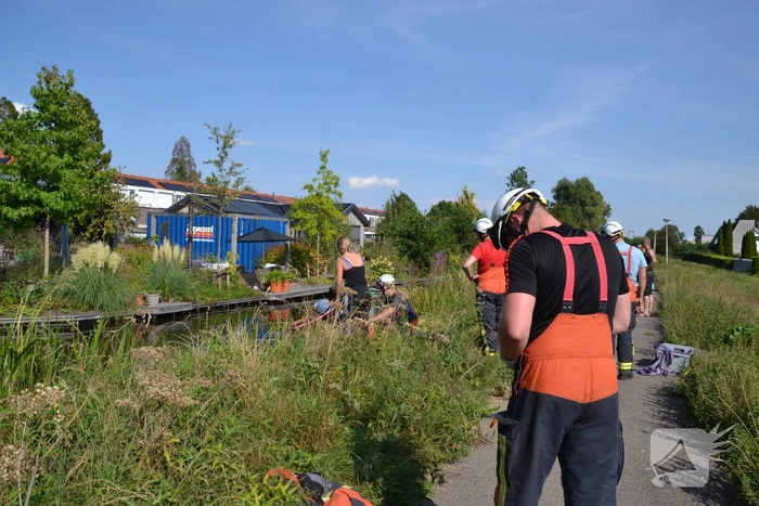 Brandweer redt paard uit water