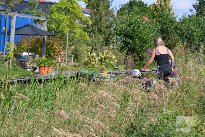 Brandweer redt paard uit water