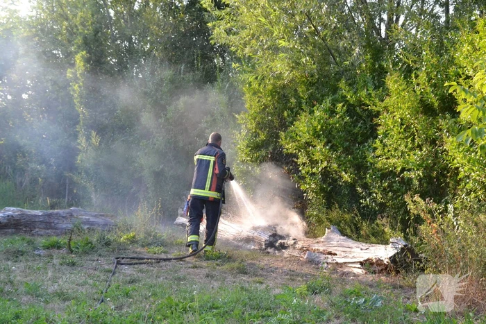 Flinke rookontwikkeling bij boomstam in brand