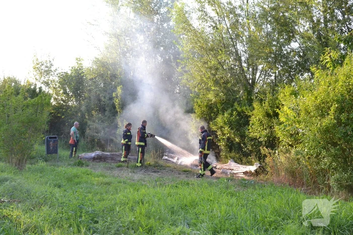 Flinke rookontwikkeling bij boomstam in brand