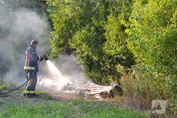 Flinke rookontwikkeling bij boomstam in brand