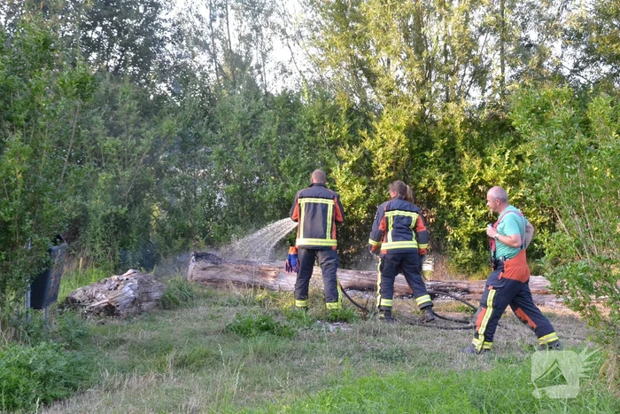 Flinke rookontwikkeling bij boomstam in brand