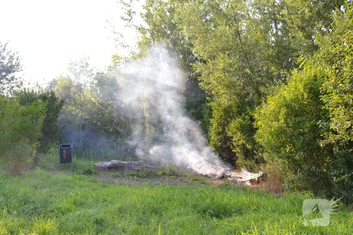 Flinke rookontwikkeling bij boomstam in brand