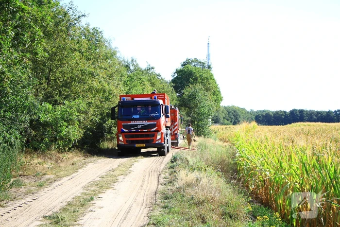 Politiehelikopter ontdekt beginnende bosbrand