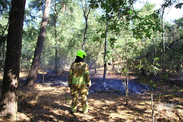 Politiehelikopter ontdekt beginnende bosbrand