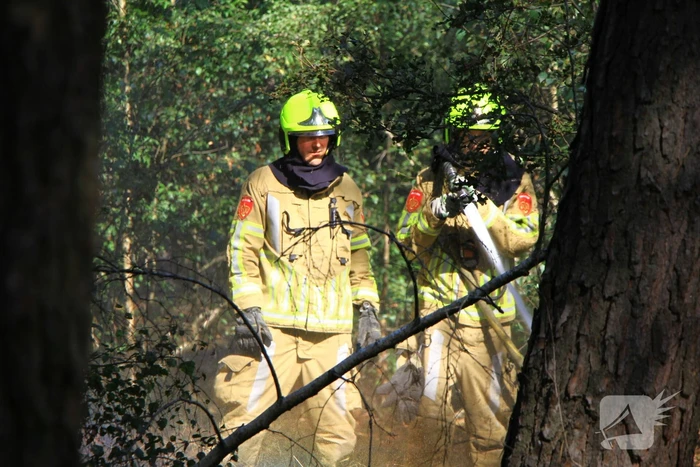 Politiehelikopter ontdekt beginnende bosbrand