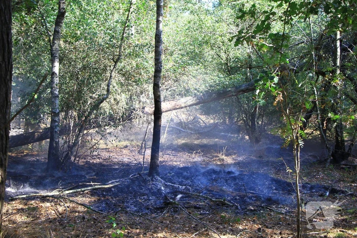 Politiehelikopter ontdekt beginnende bosbrand