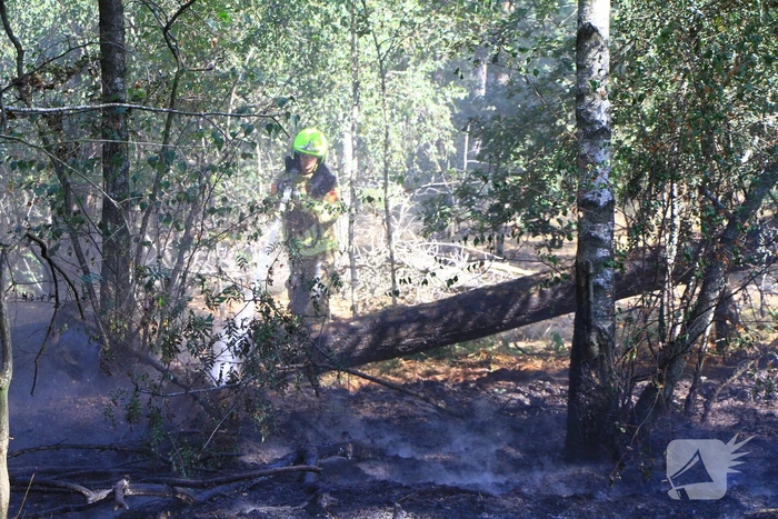 Politiehelikopter ontdekt beginnende bosbrand