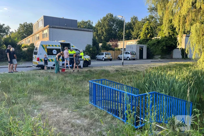 nieuws count basiestraat amersfoort