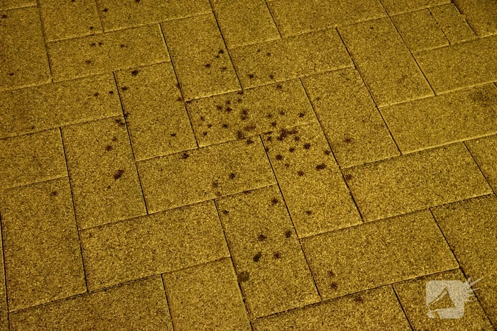 Vier aanhoudingen en gewonde na schietpartij