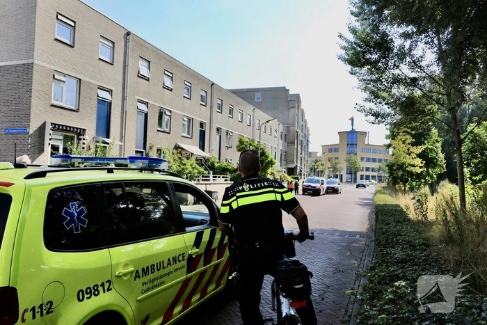 nieuws scheltussingel amersfoort