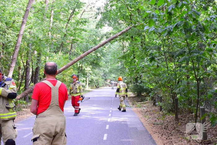 Weg kort afgesloten door omgevallen boom