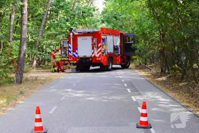 Weg kort afgesloten door omgevallen boom