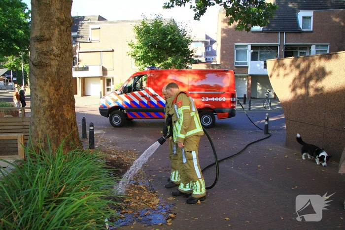 brand hegstraat weert