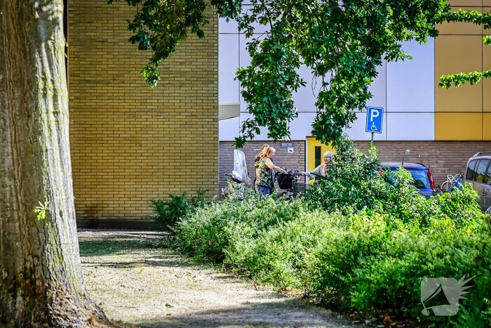 Vrouw op e-bike gaat onderuit en raakt gewond