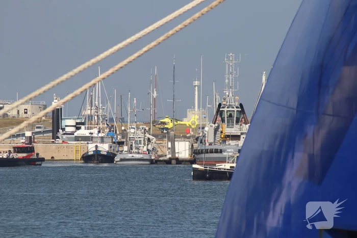 nieuws havenplein den helder