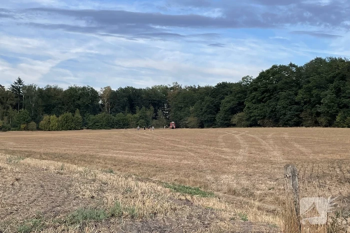 Brandweer ingezet bij kleine brand in bosgebied