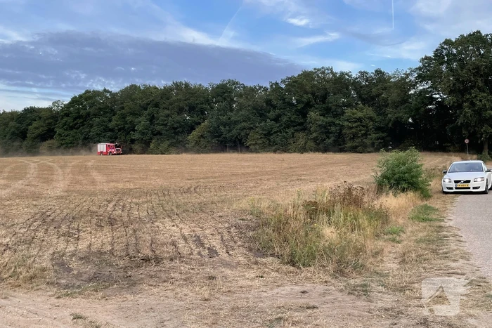 Brandweer ingezet bij kleine brand in bosgebied