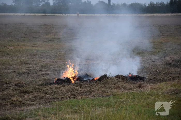 Brand door omploegen van weiland