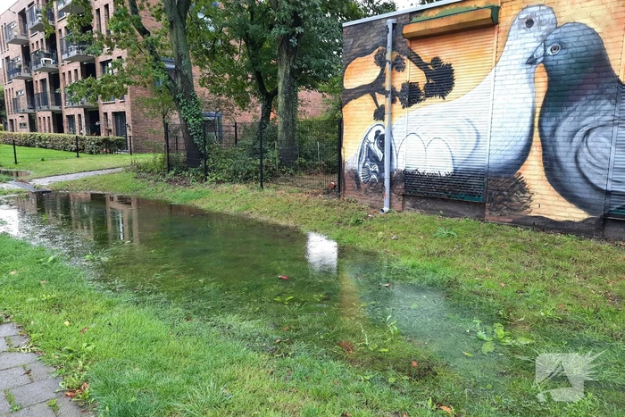 Grote overlast door zware regenval