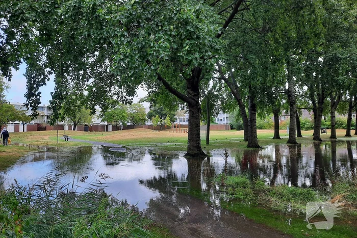 Grote overlast door zware regenval