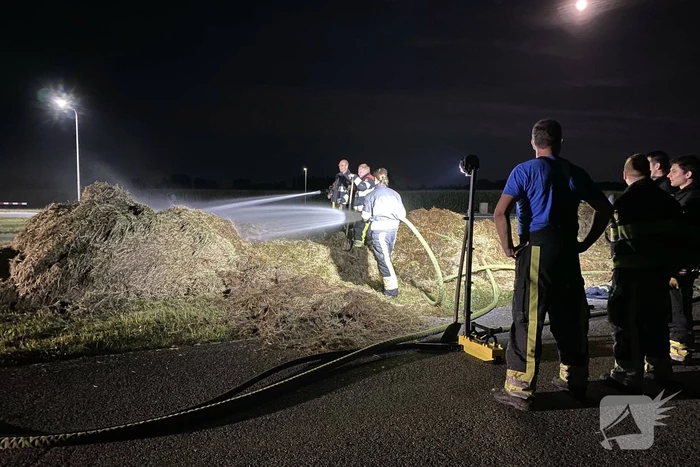 Broei in berg gemaaid gras