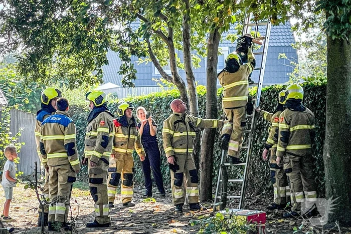 nieuws parkweg boekel