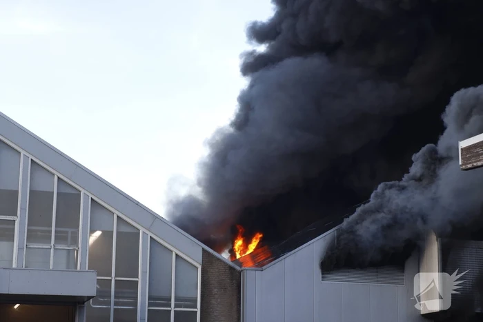 Zeer grote brand in bollenloods