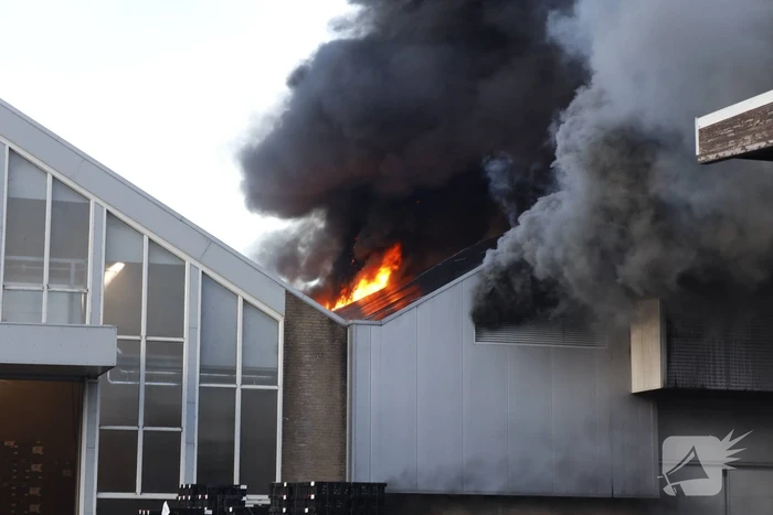 Zeer grote brand in bollenloods