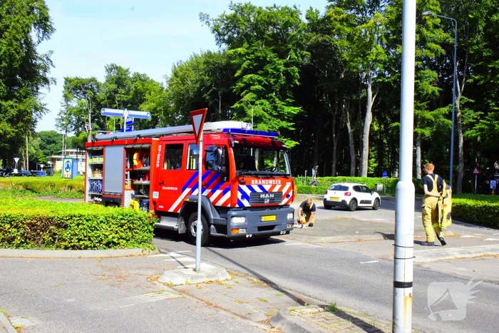 Auto flinke beschadigd door omgevallen boom