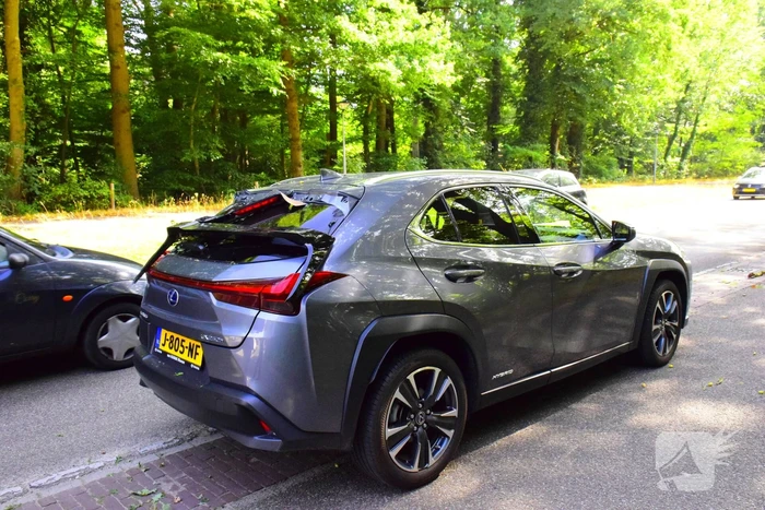Auto flinke beschadigd door omgevallen boom