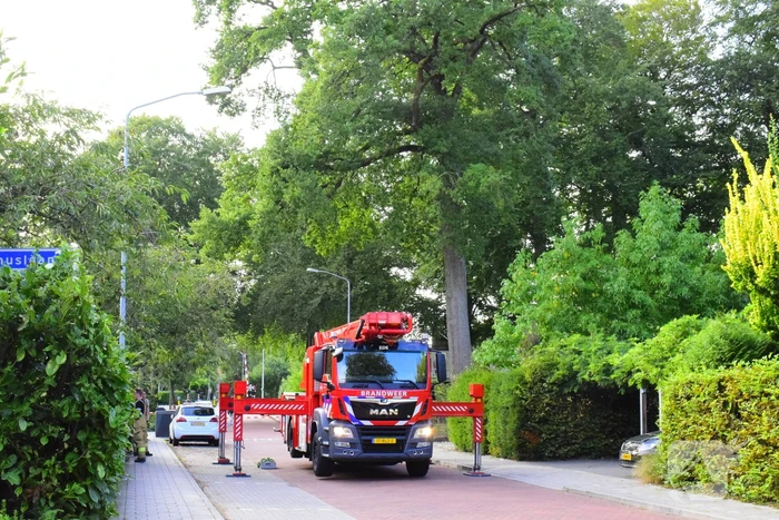 natuur larixlaan ede