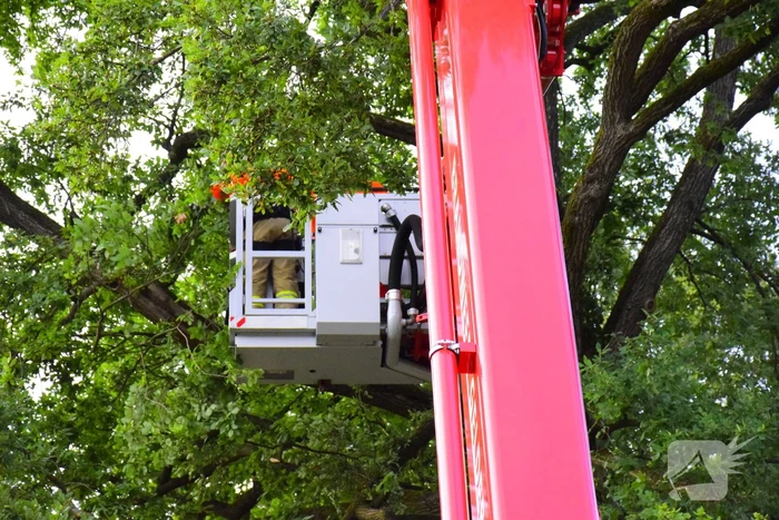 Brandweer ingezet voor gevaarlijk hangende tak
