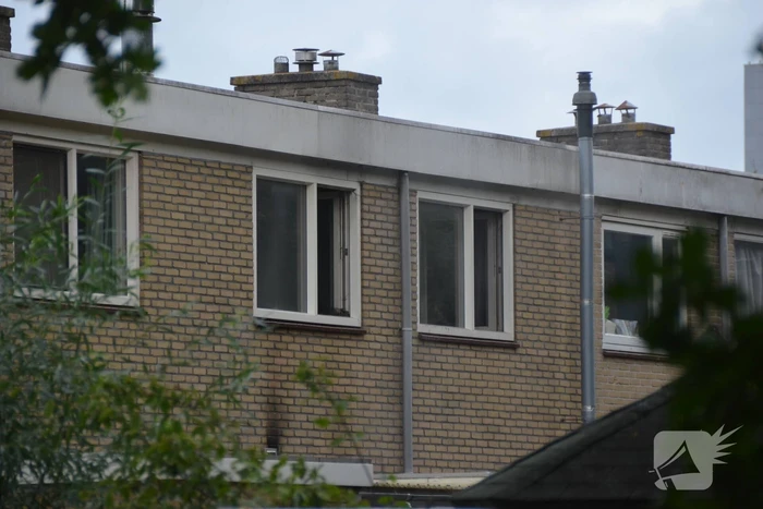 Kat gewond bij woningbrand